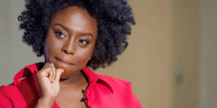 When Money Isn’t Enough: What Chimamanda’s Son’s Death Says About Healthcare in Nigeria