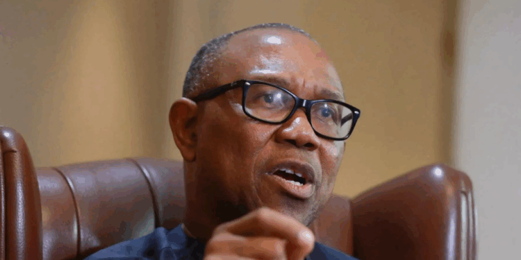 Peter Obi Says He’ll Turn Farms Into Nigeria’s New Oil Wells And Maybe Even Outshine Crude