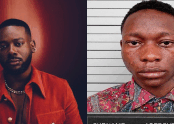 Court Sentences X User To 2 Years Over Fake Death Post About Adekunle Gold’s Daughter