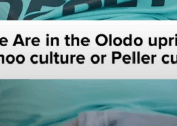 Olodo Uprising, Peller Culture And Nigeria’s Growing Obsession With Visibility Over Substance