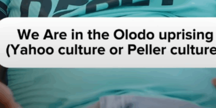 Olodo Uprising, Peller Culture And Nigeria’s Growing Obsession With Visibility Over Substance